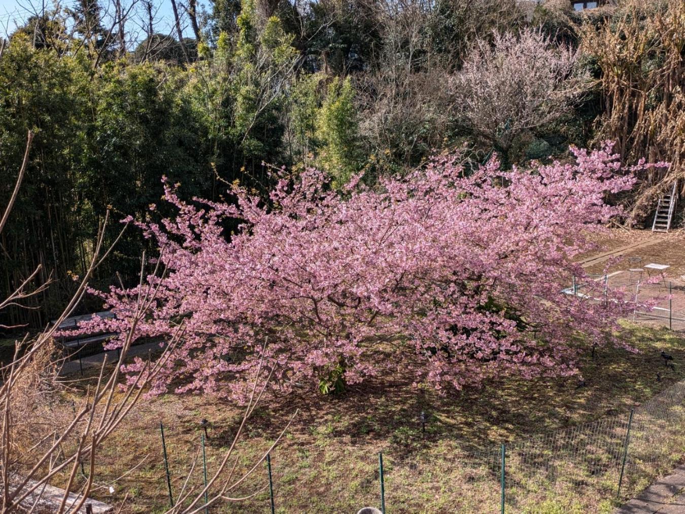 伊東市 オリエンタルロータスヴィラ エクステリア 写真
